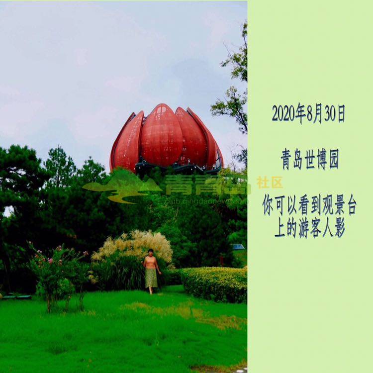 青岛世博园：观景台不该是“观台景”