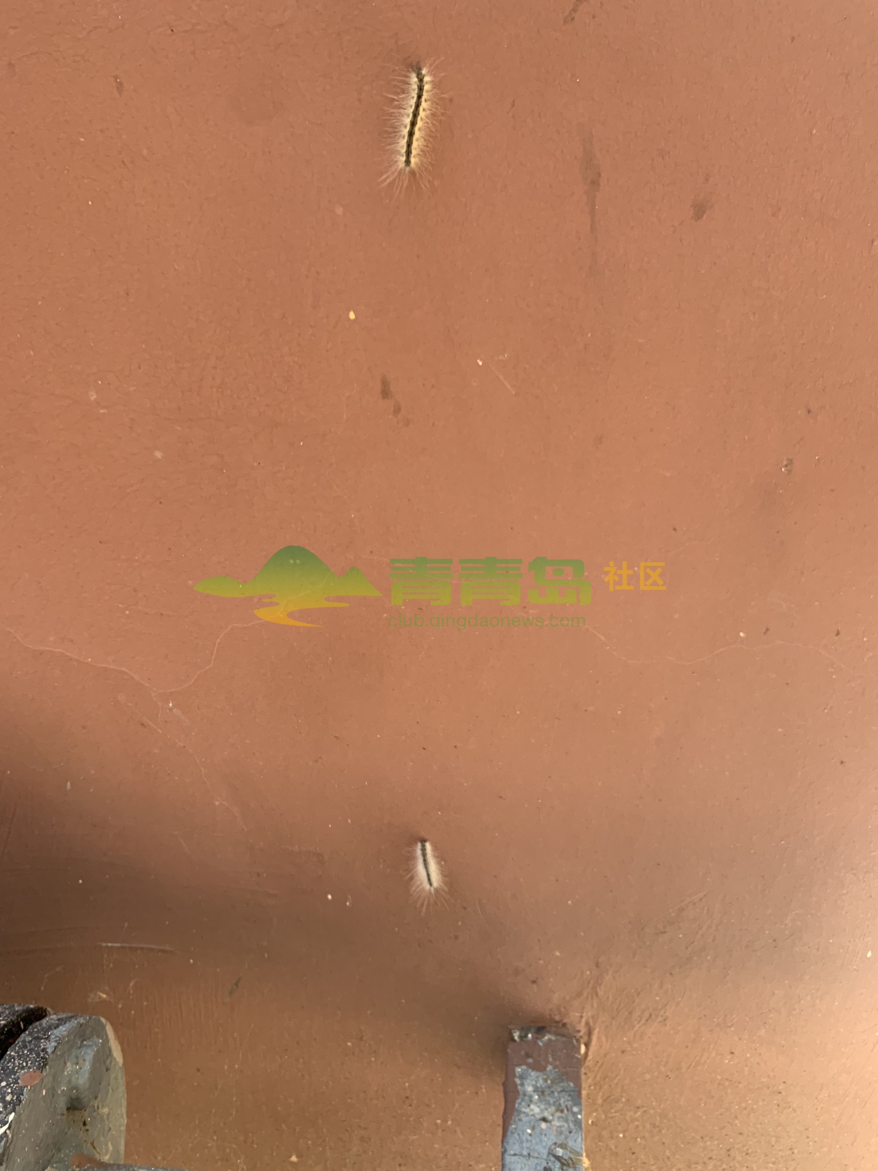 1776250715