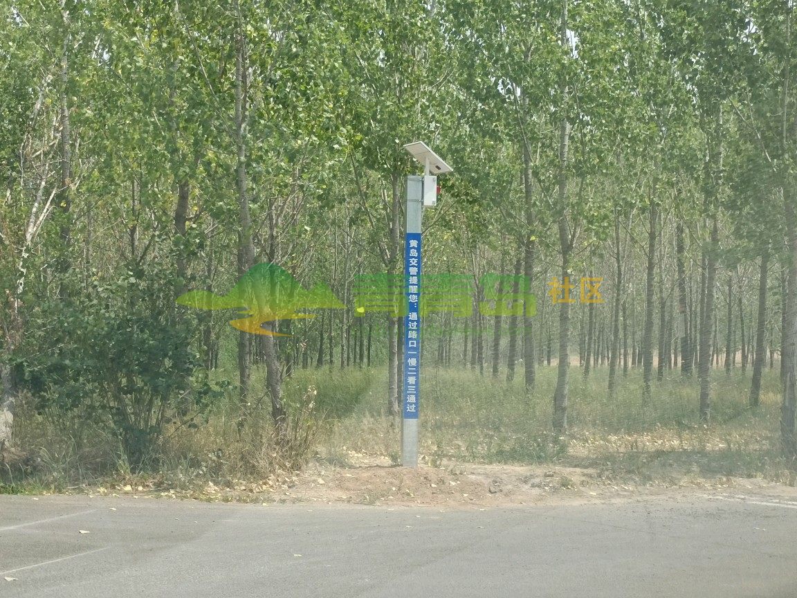 1755896294