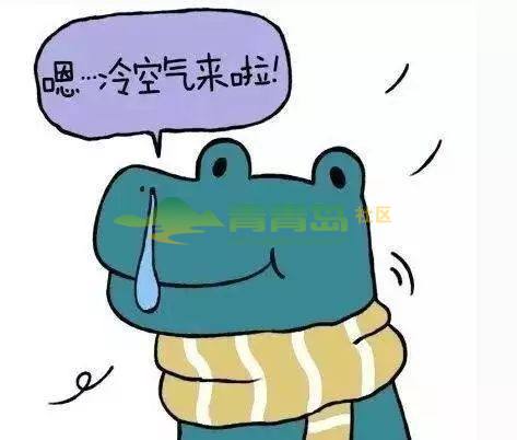 今天西北风呼啸劲吹 体重轻的真害怕被风吹跑了!