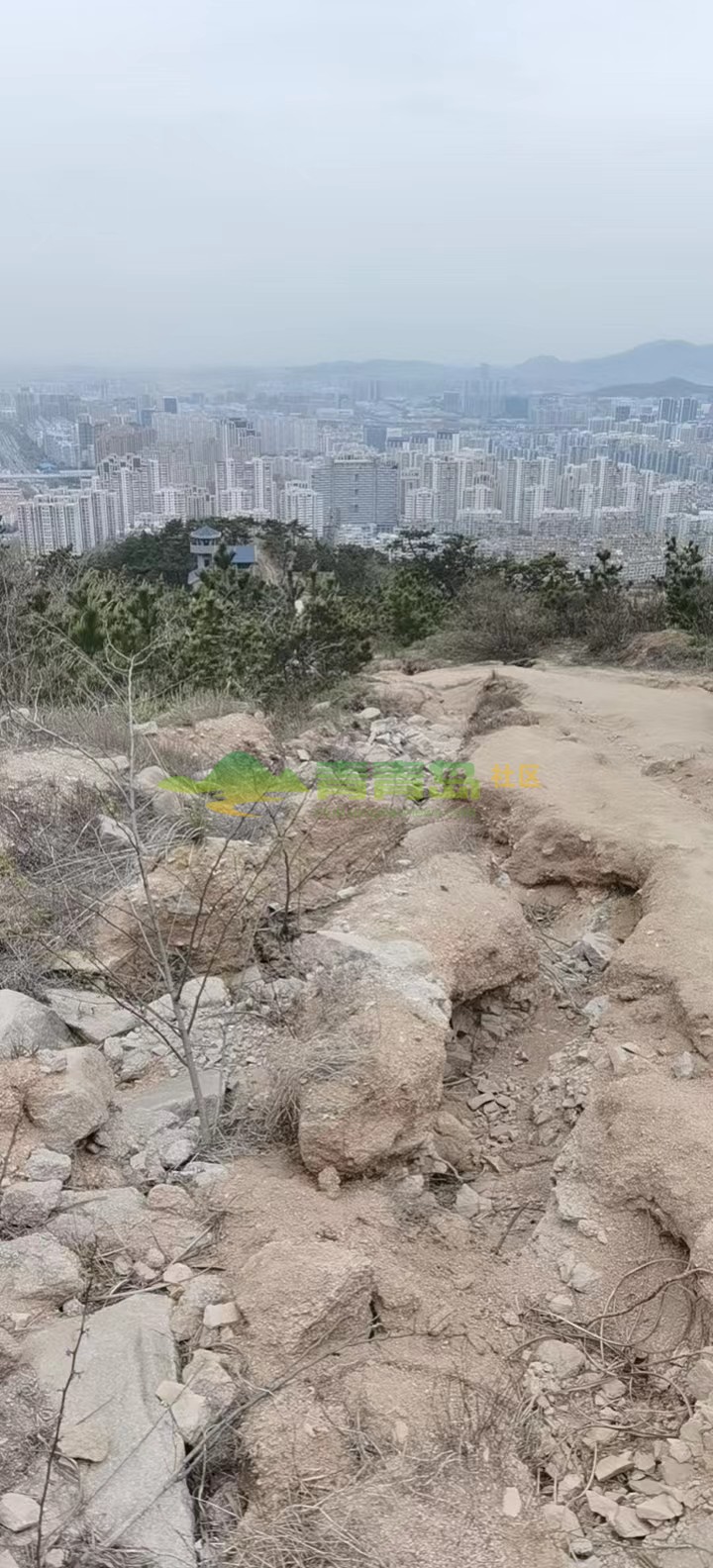 1768550781
