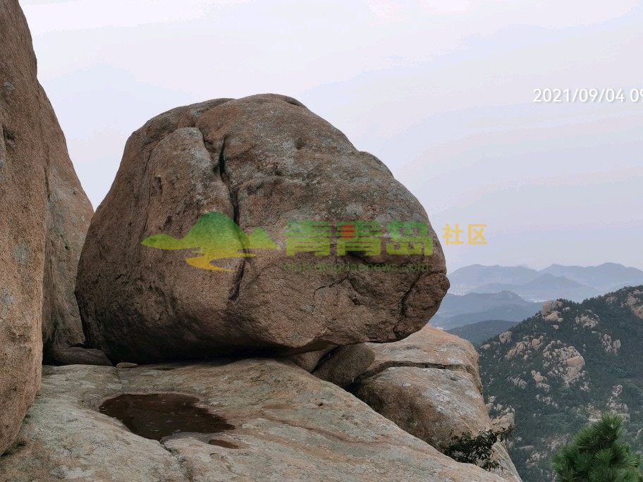 石头造型鲤鱼石