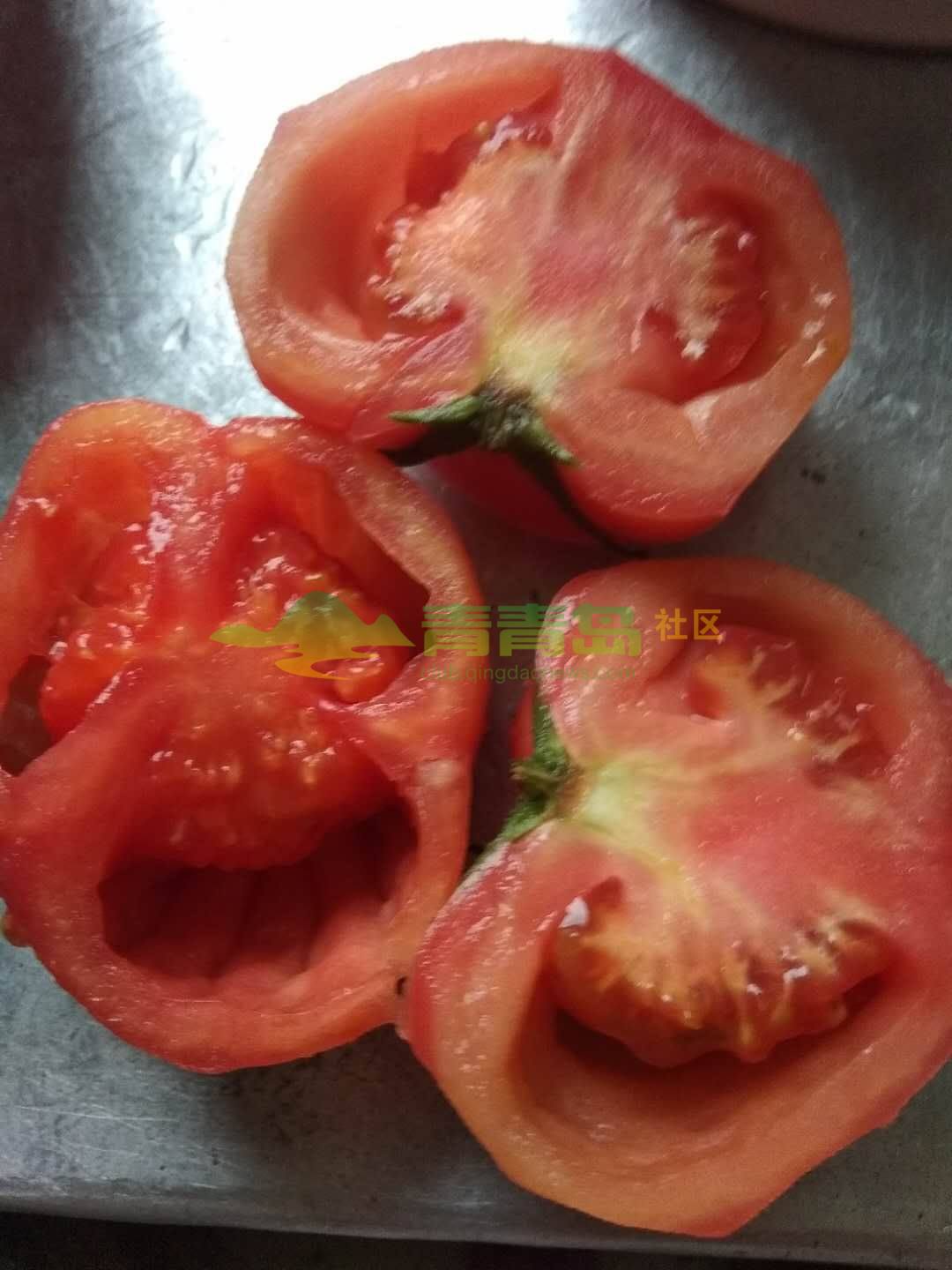 朋友们,请你们看看这西红柿是不是打激素长大滴.反正我没吃,你
