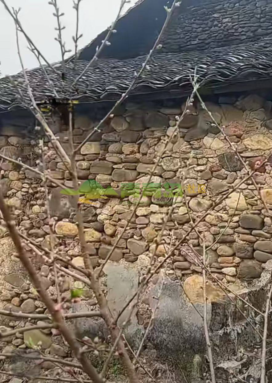 1754420954