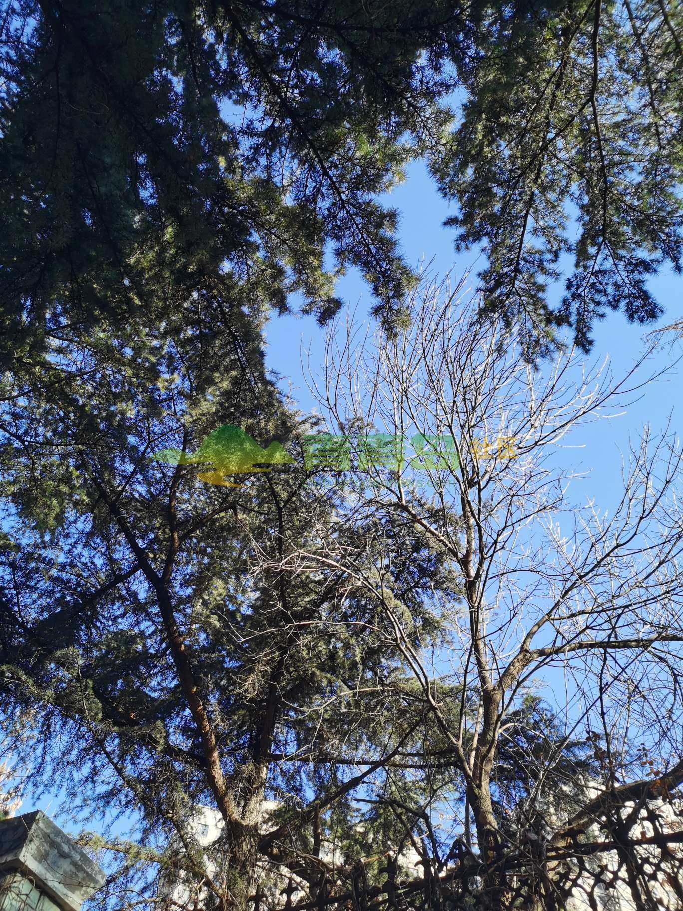 1776003925