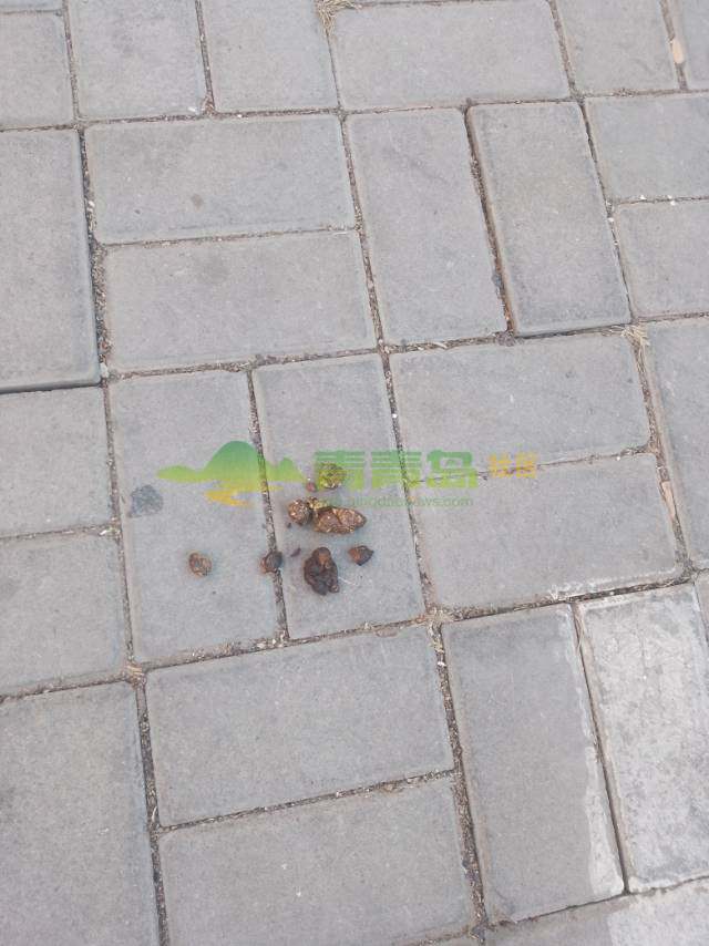 1776046101