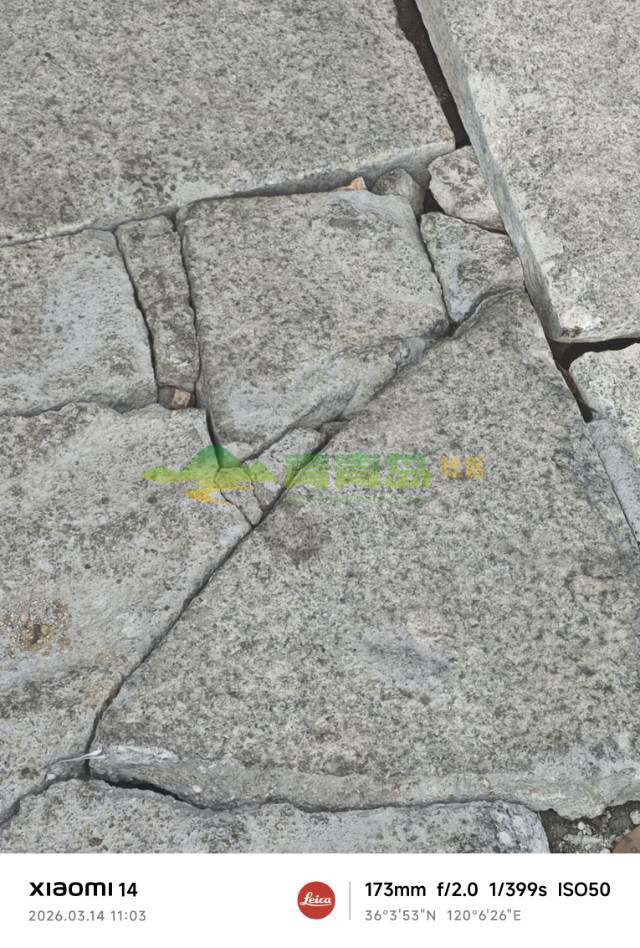 1773732219
