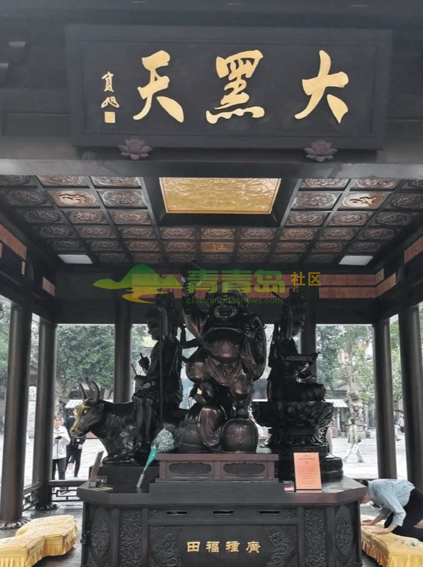 1779045466