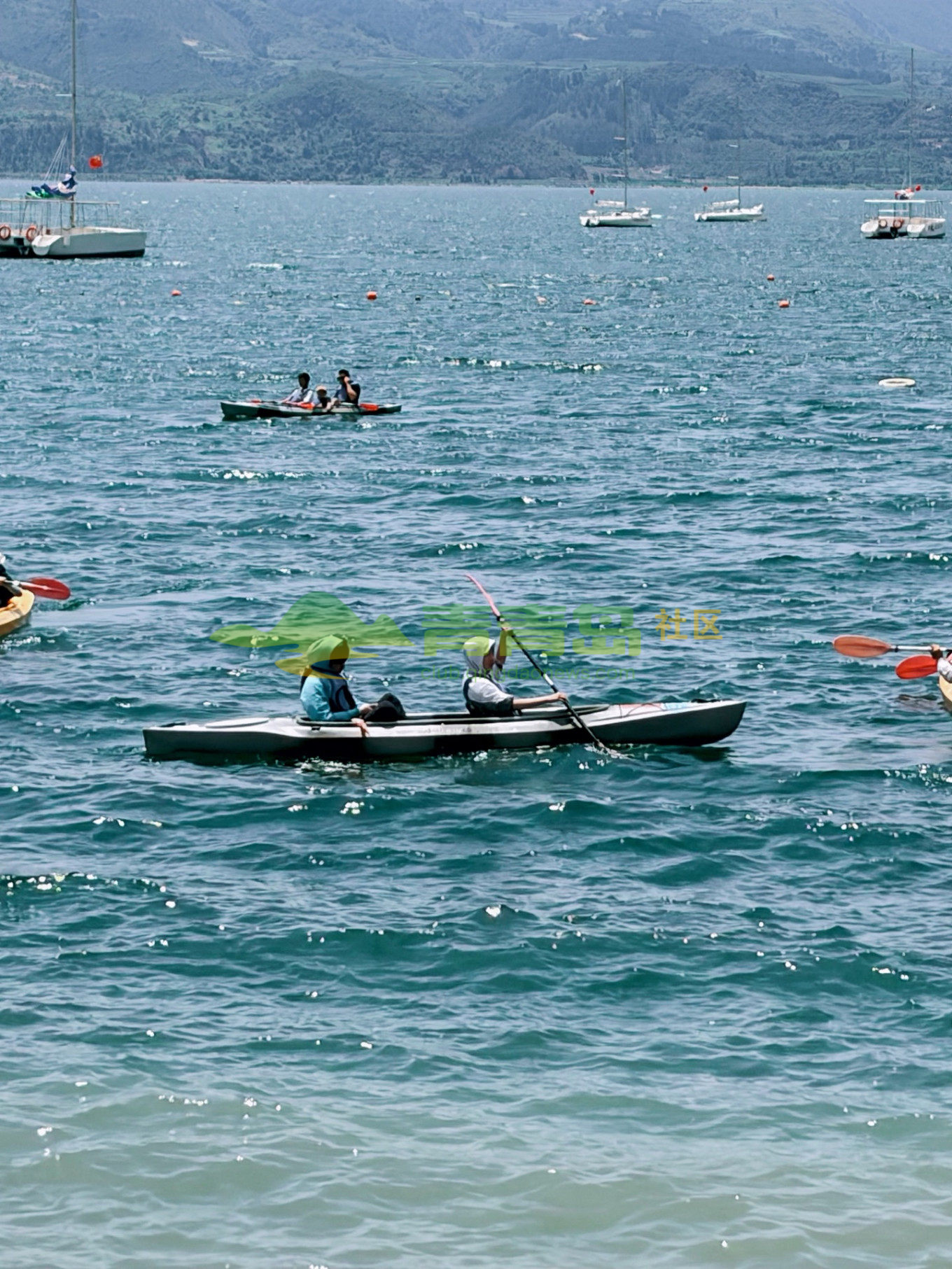 1786336175
