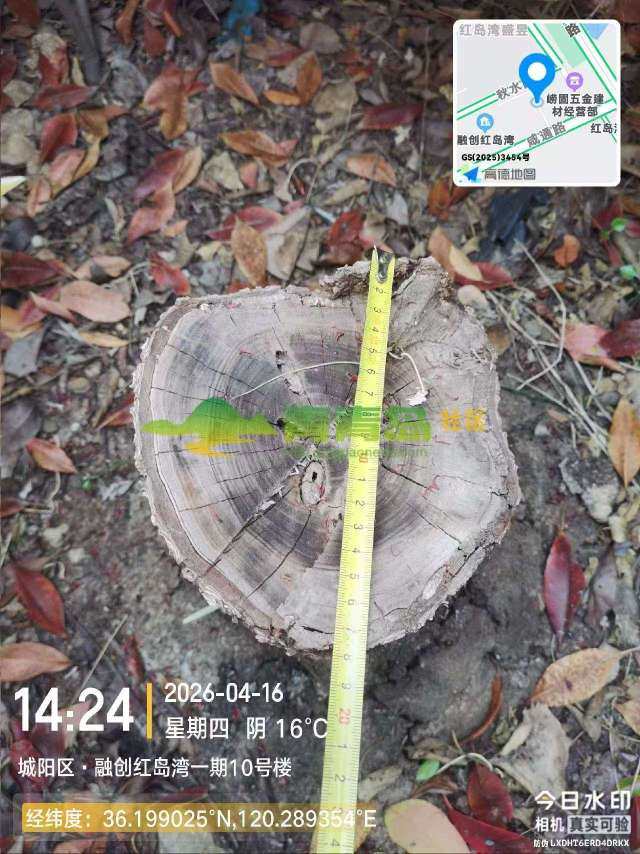 1785182388
