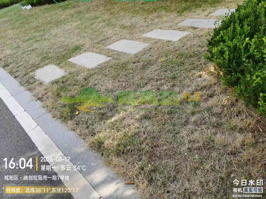 1787818282
