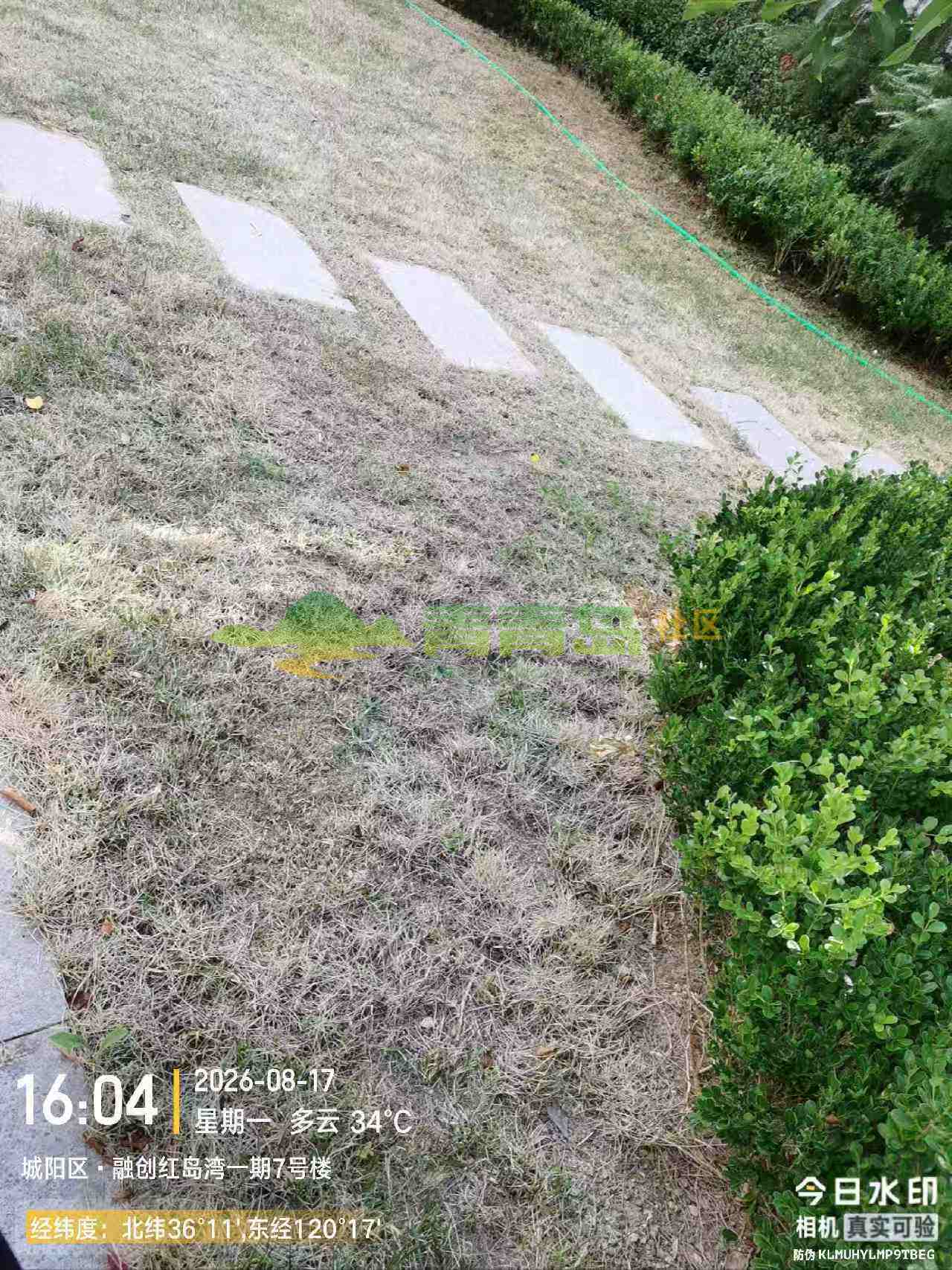 1787725641