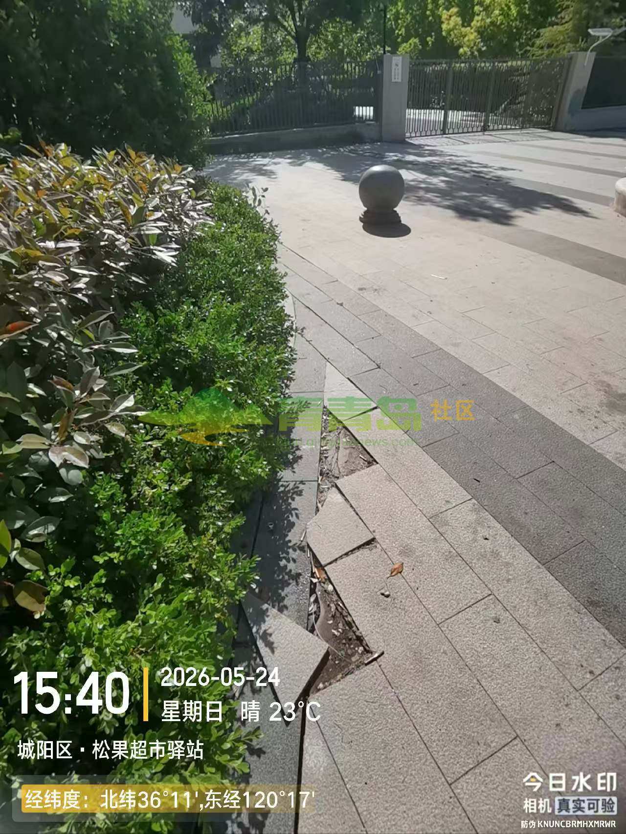1781549394