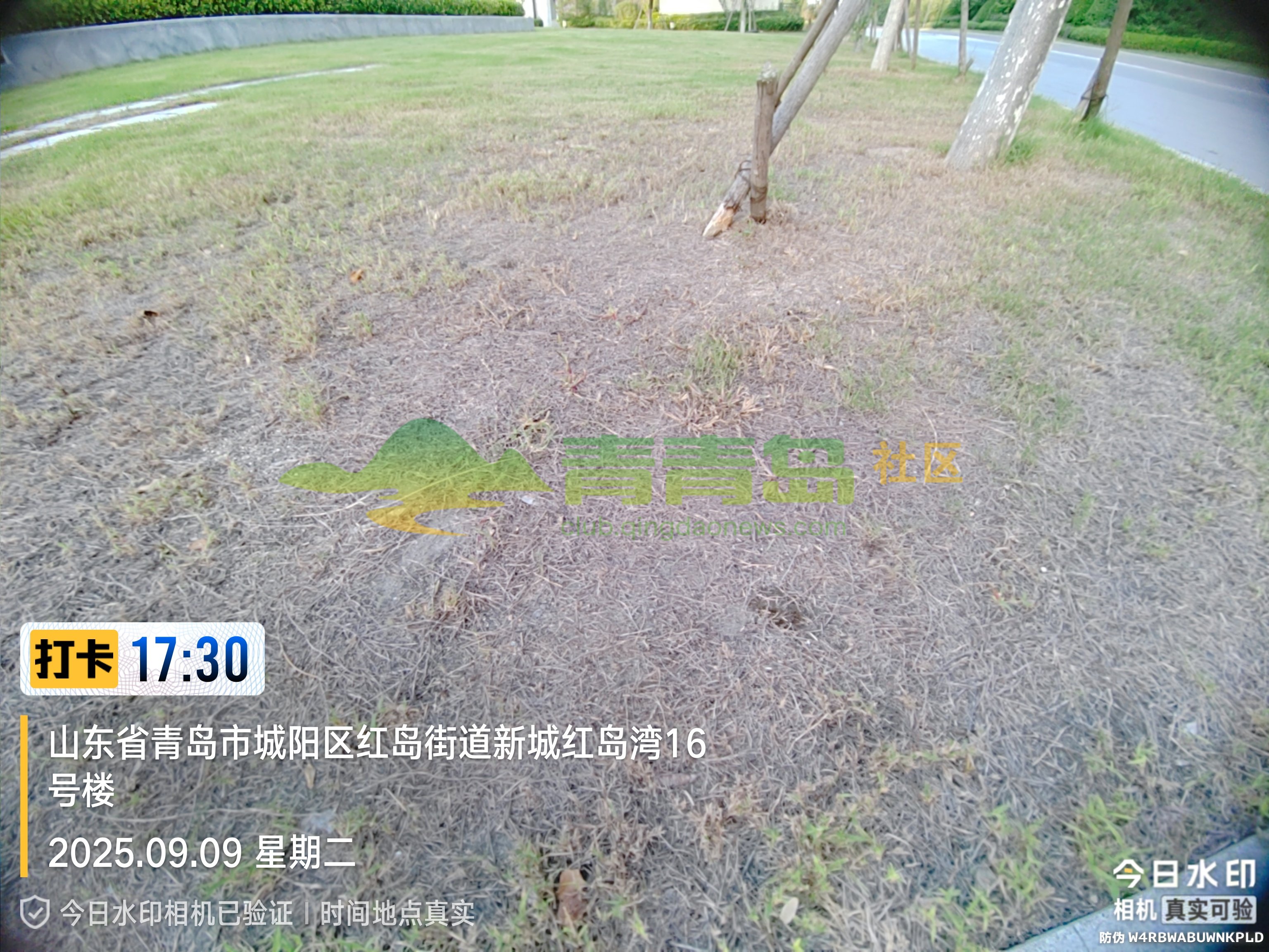 1779472815