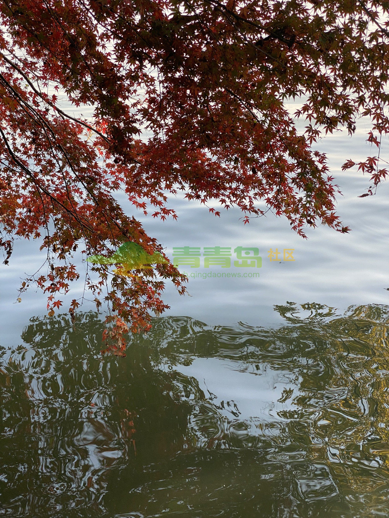 1770888151