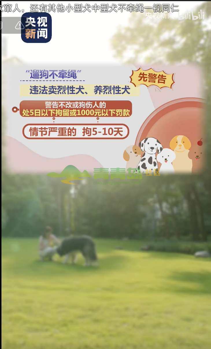 1752928592