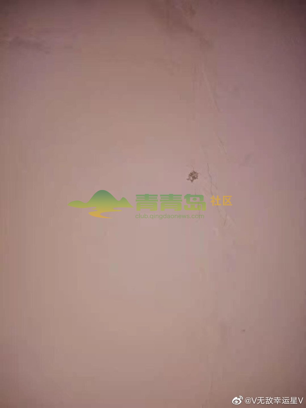 1753010406