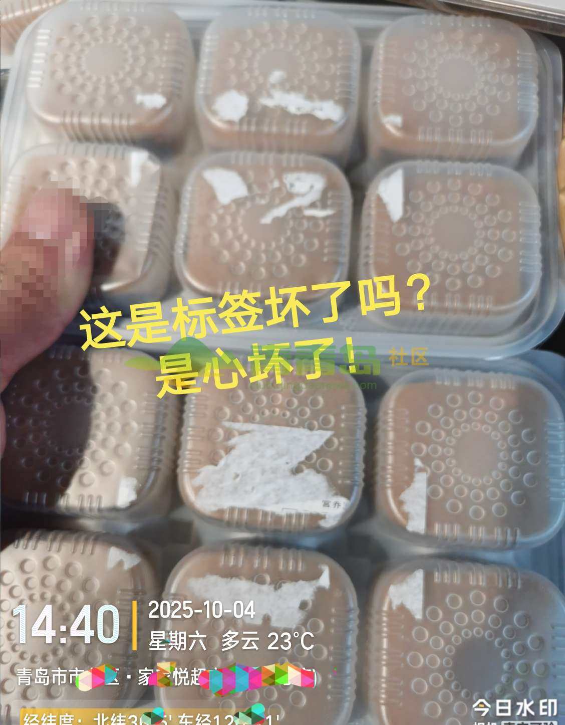 1775231233