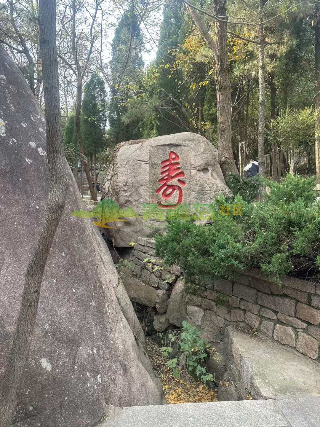 1775394386