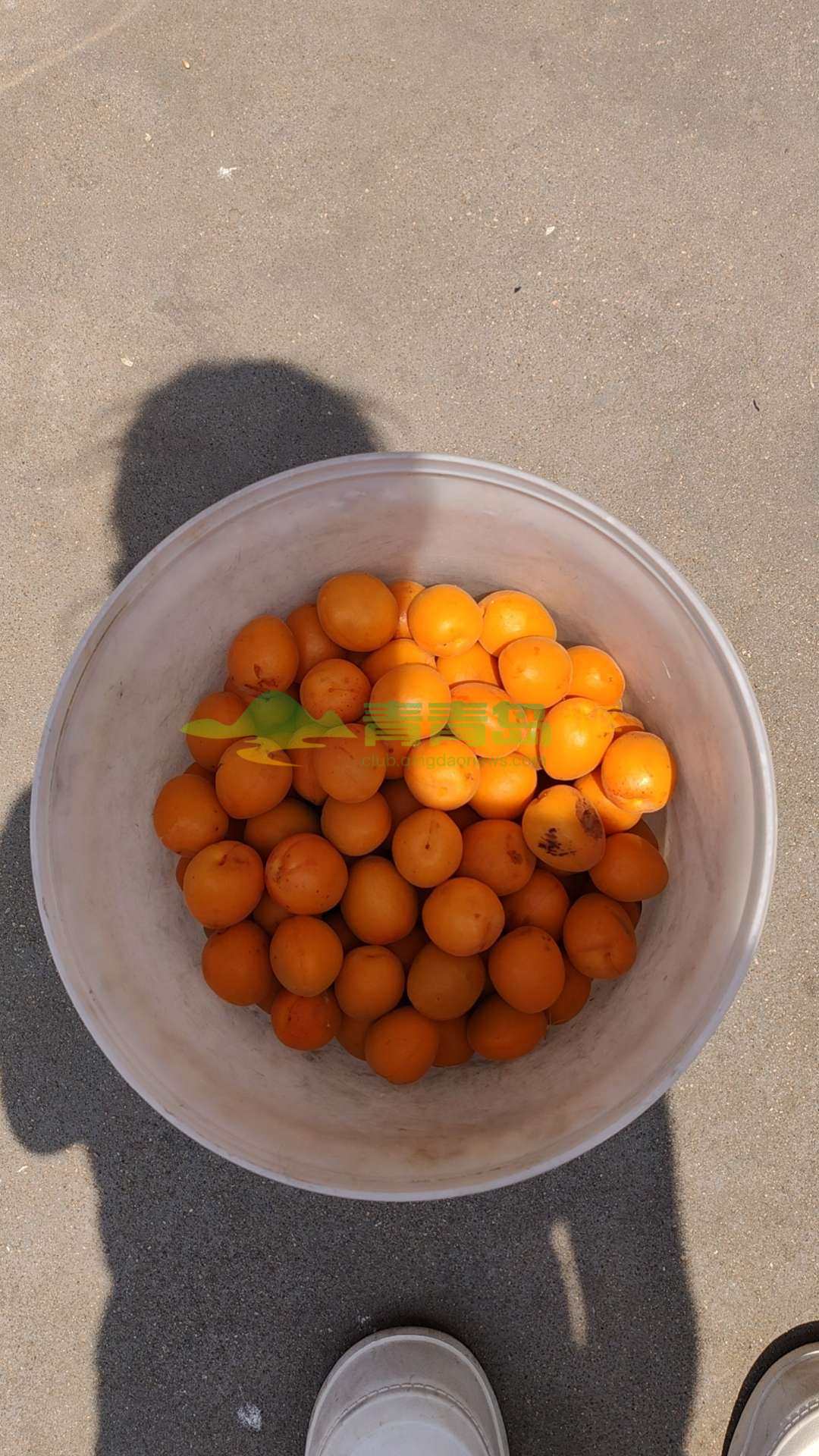 1753083717