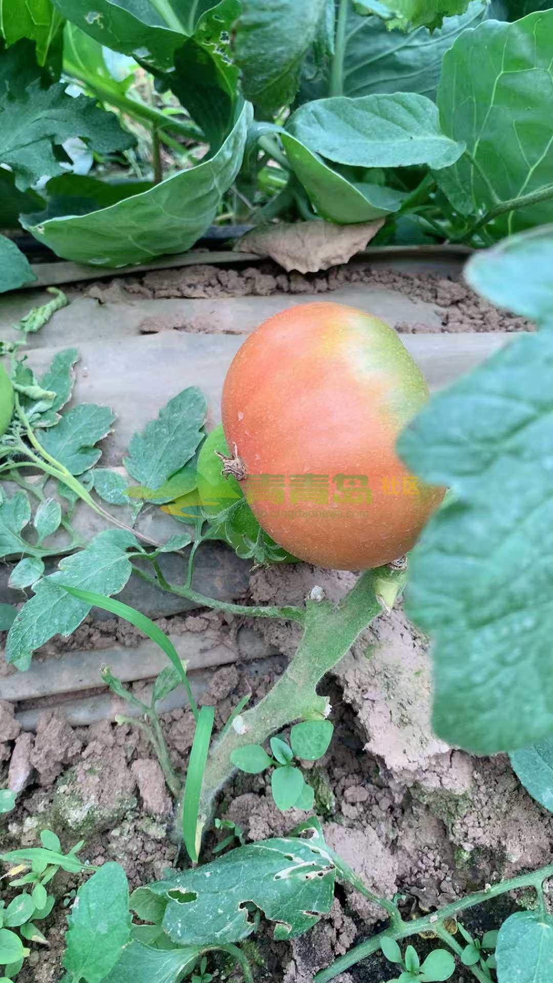 1777710164