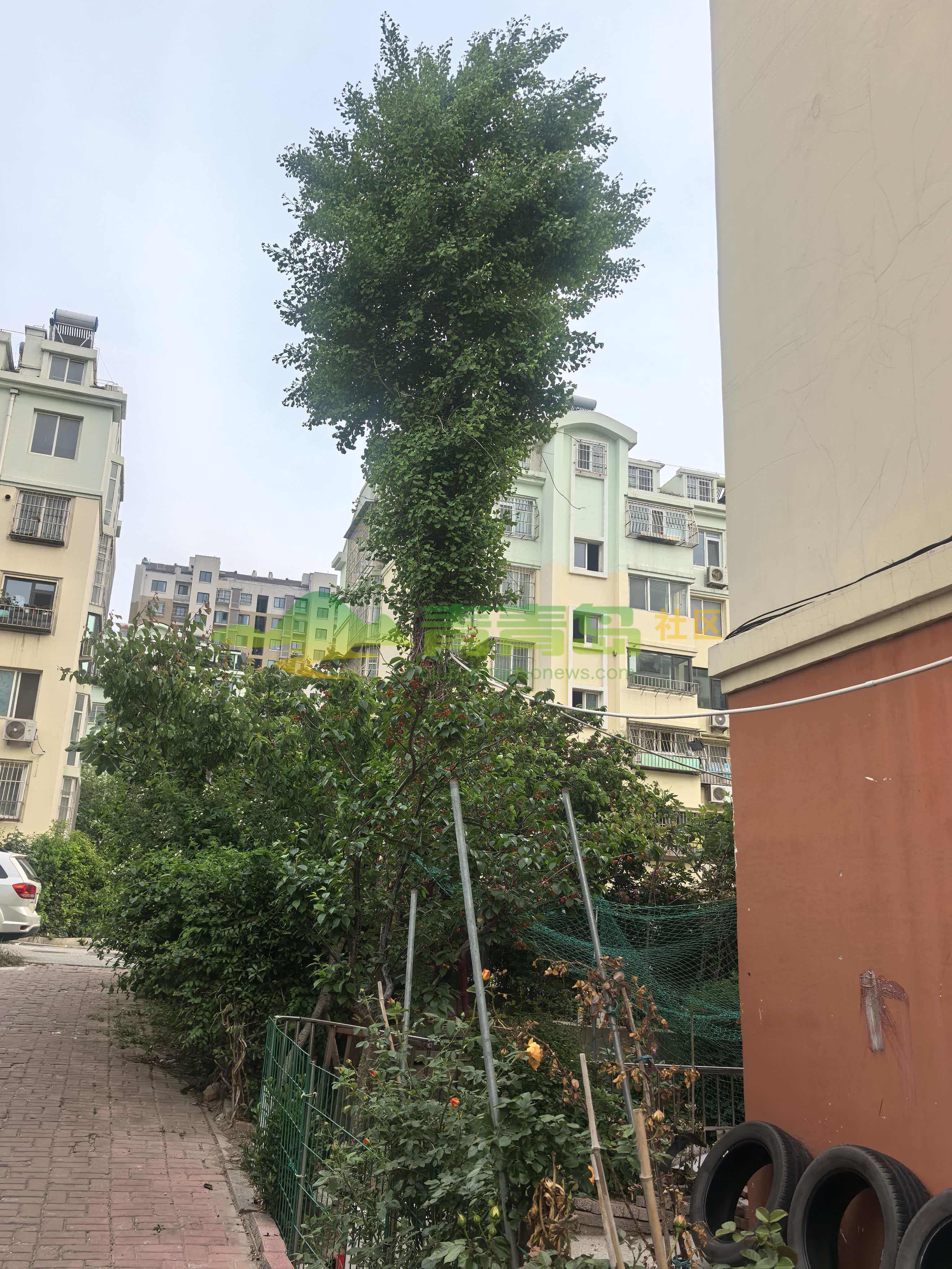 1778729390