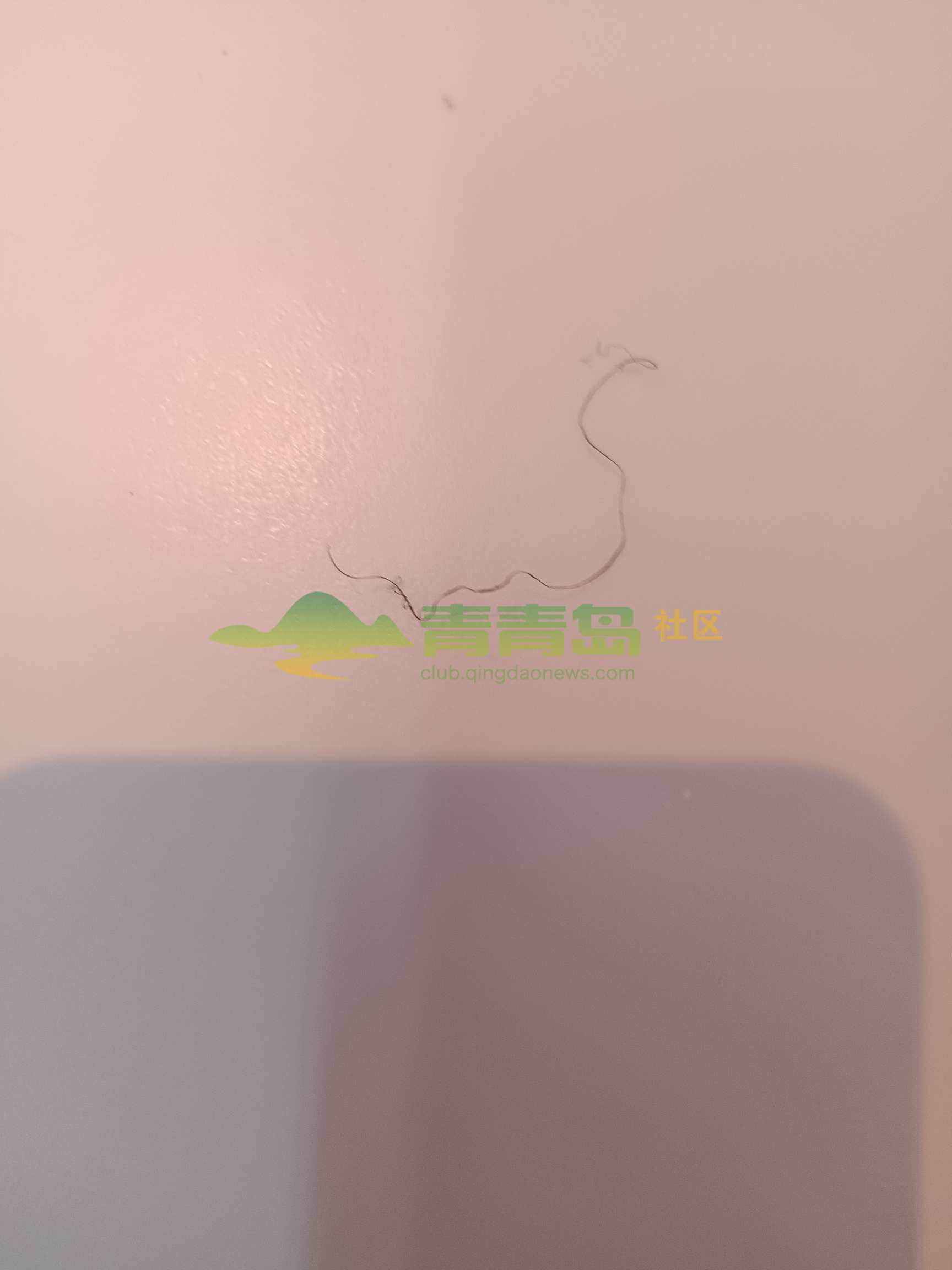 1754967539