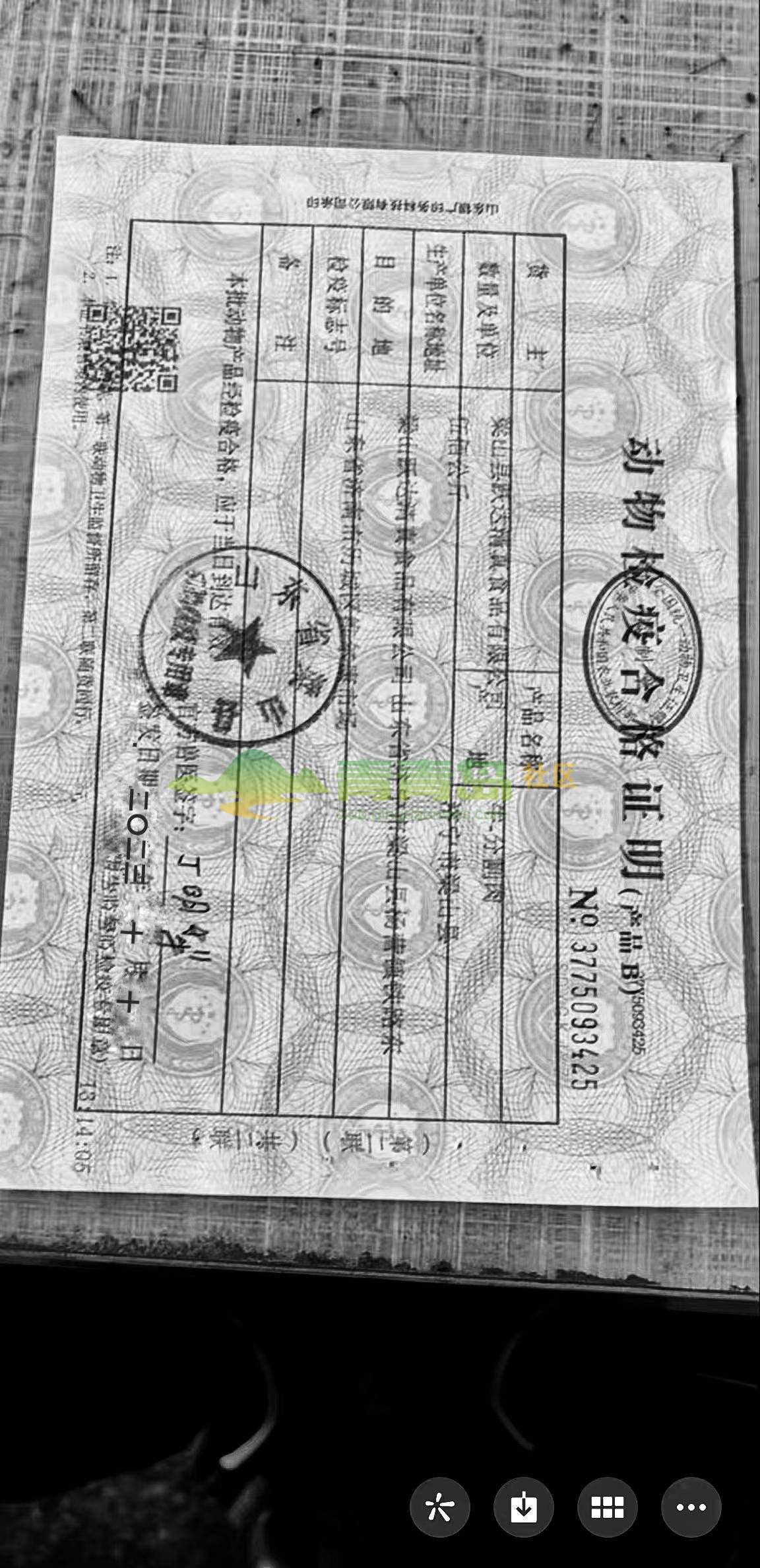 1754946941