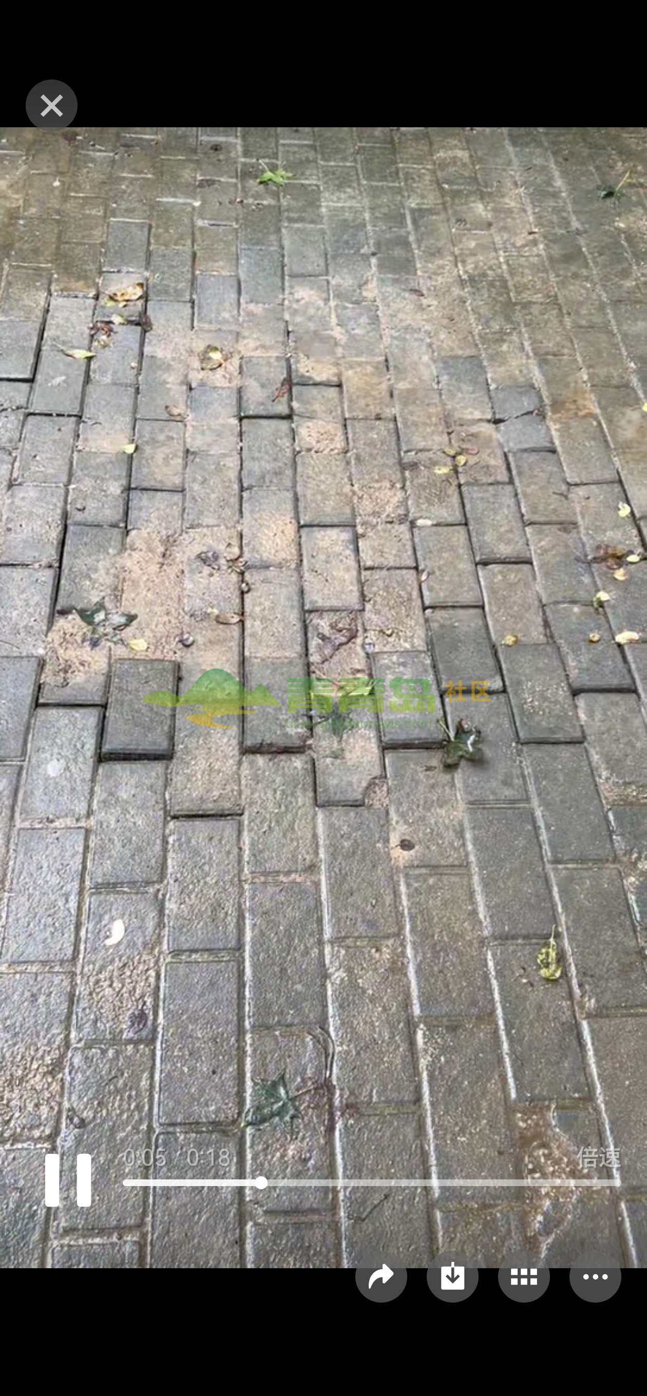 1759743295