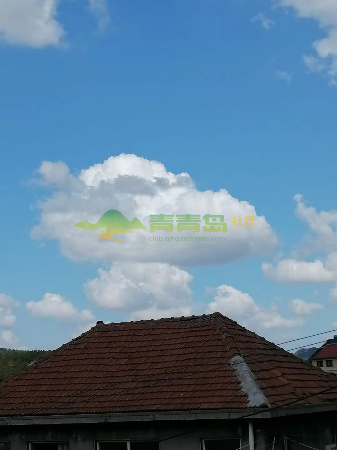 1752999020