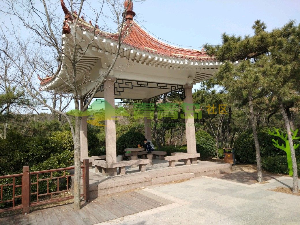 青岛市市北区嘉定山公园游玩,很多人在山上遛鸟,山上空气非常好