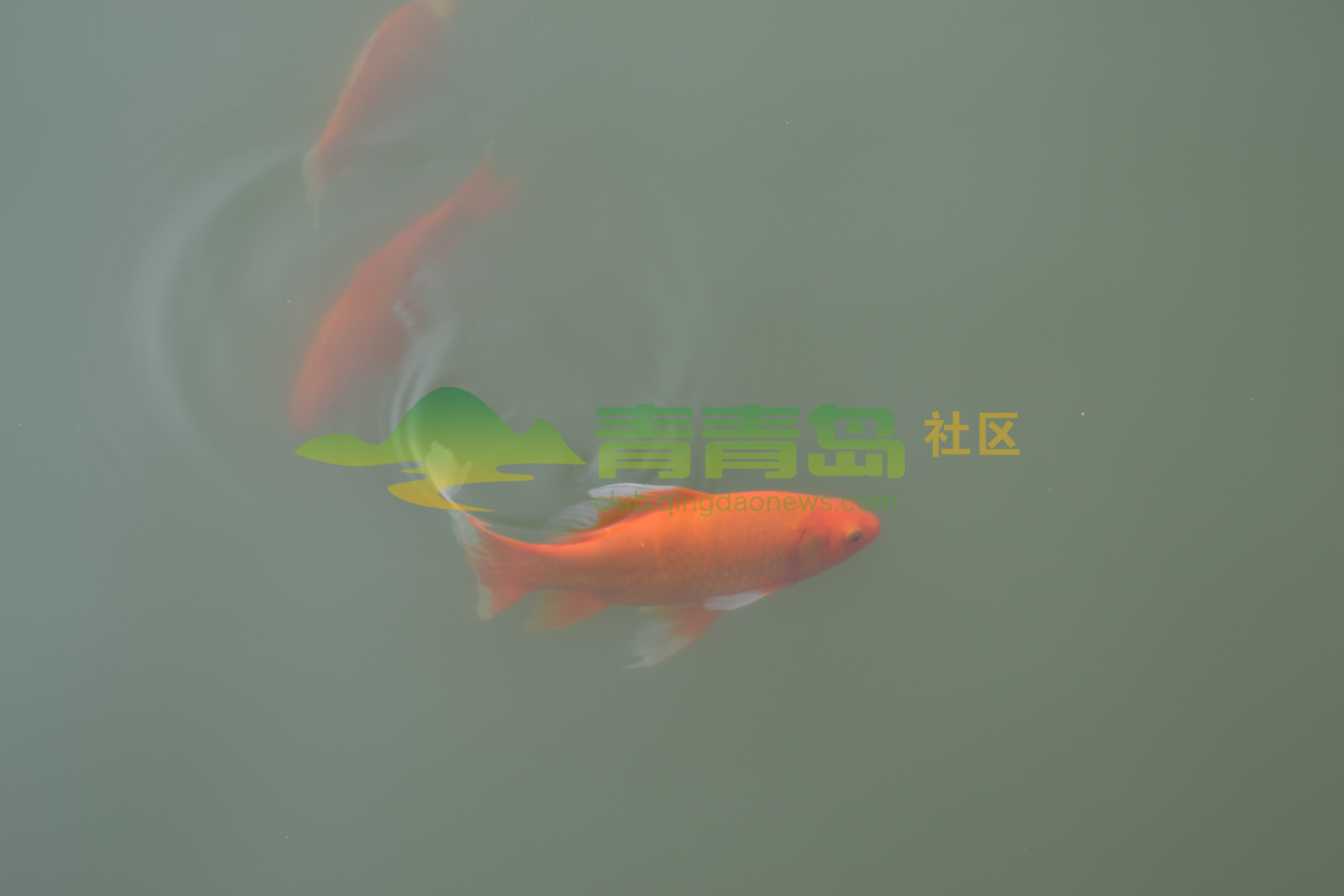 1752975190