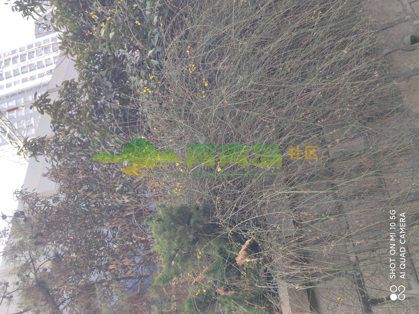 1754216425