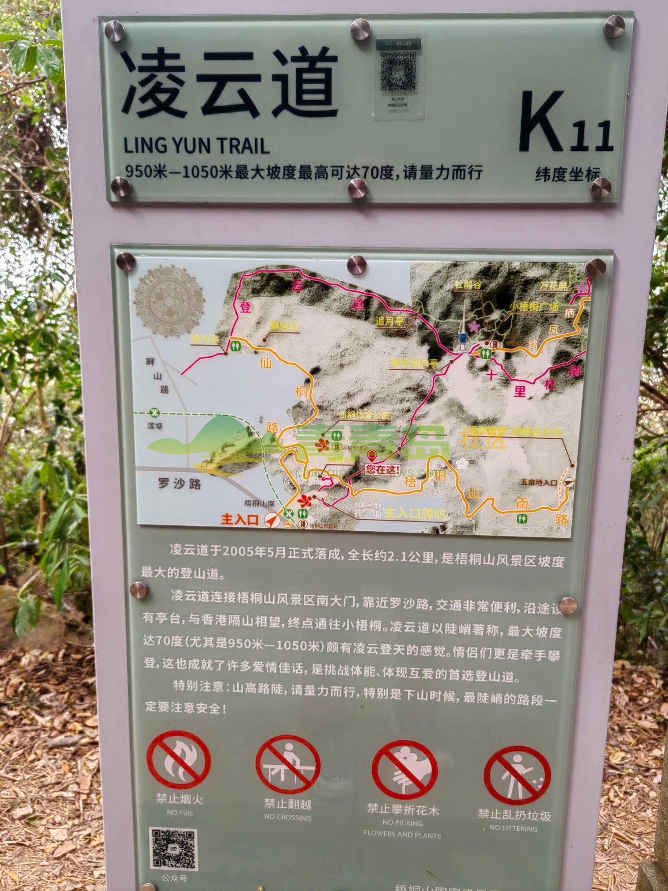 1775118590