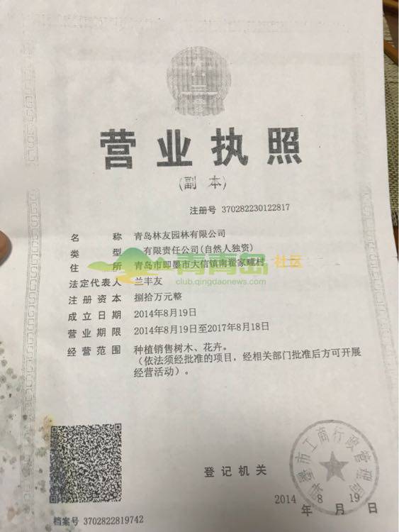 1754290229