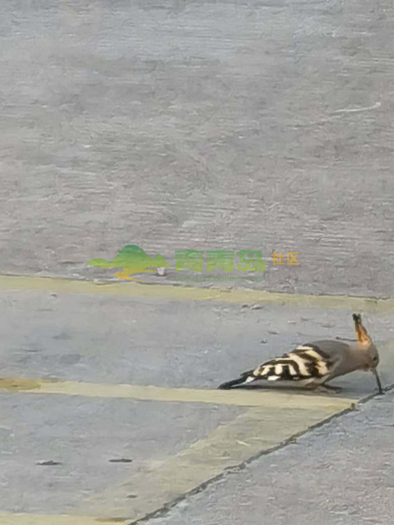 1756360982