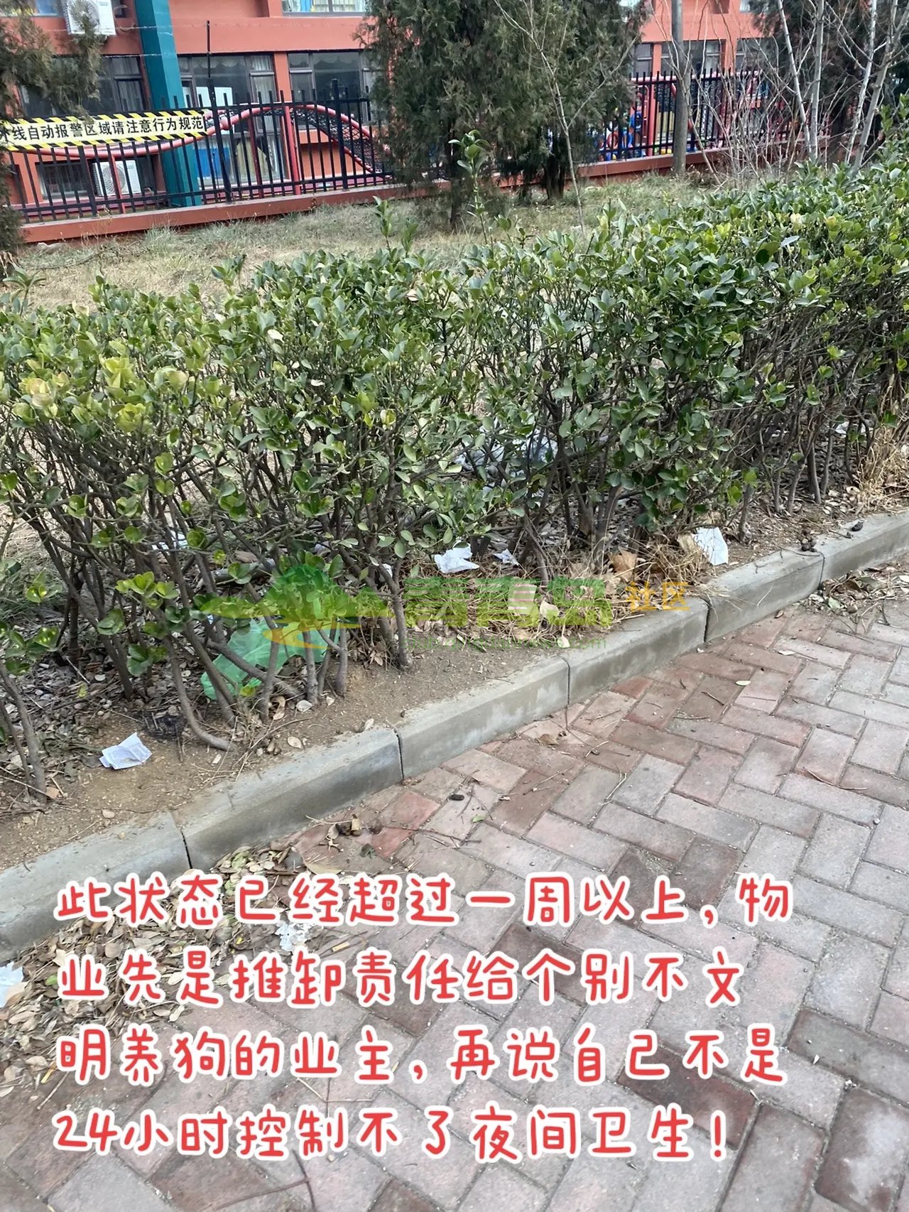 1775534809