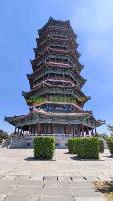 这是胶州少海湿地公园内的一瞥.比较壮观.