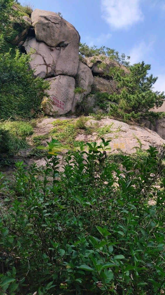 李沧区戴家山的风光太好了.朋友们休闲时可以去游玩看看吧.