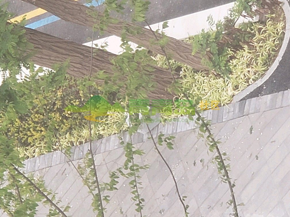1756164374